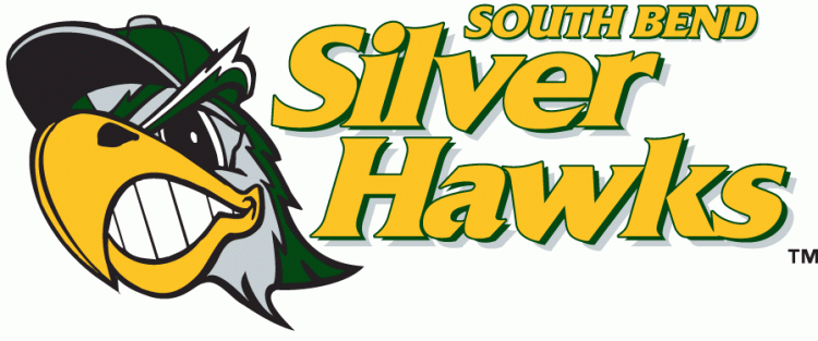 South Bend Silver Hawks iron ons